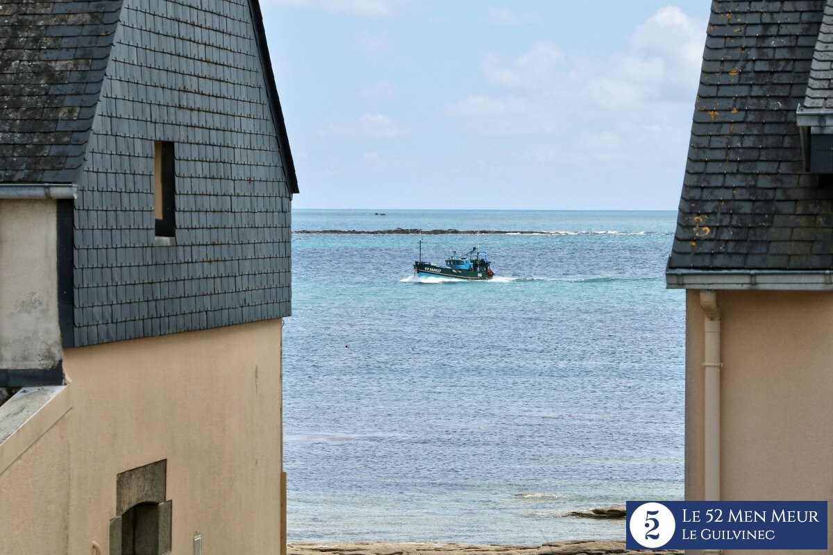 Terrasse vue mer 40m des plages 300m des commerces