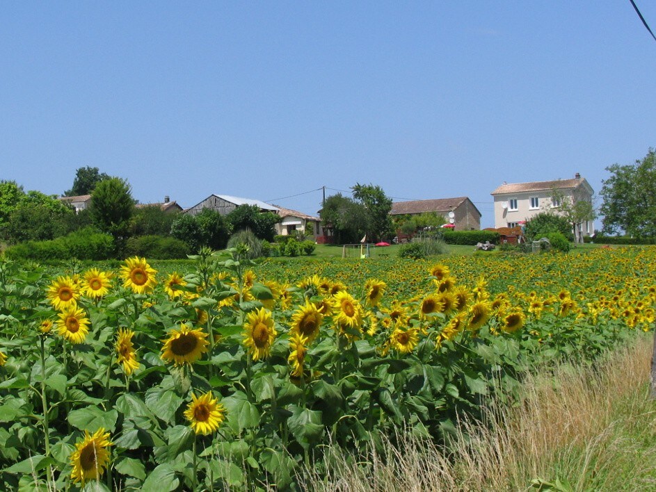 Gite - Vin Rouge 3*, with pool, great situation