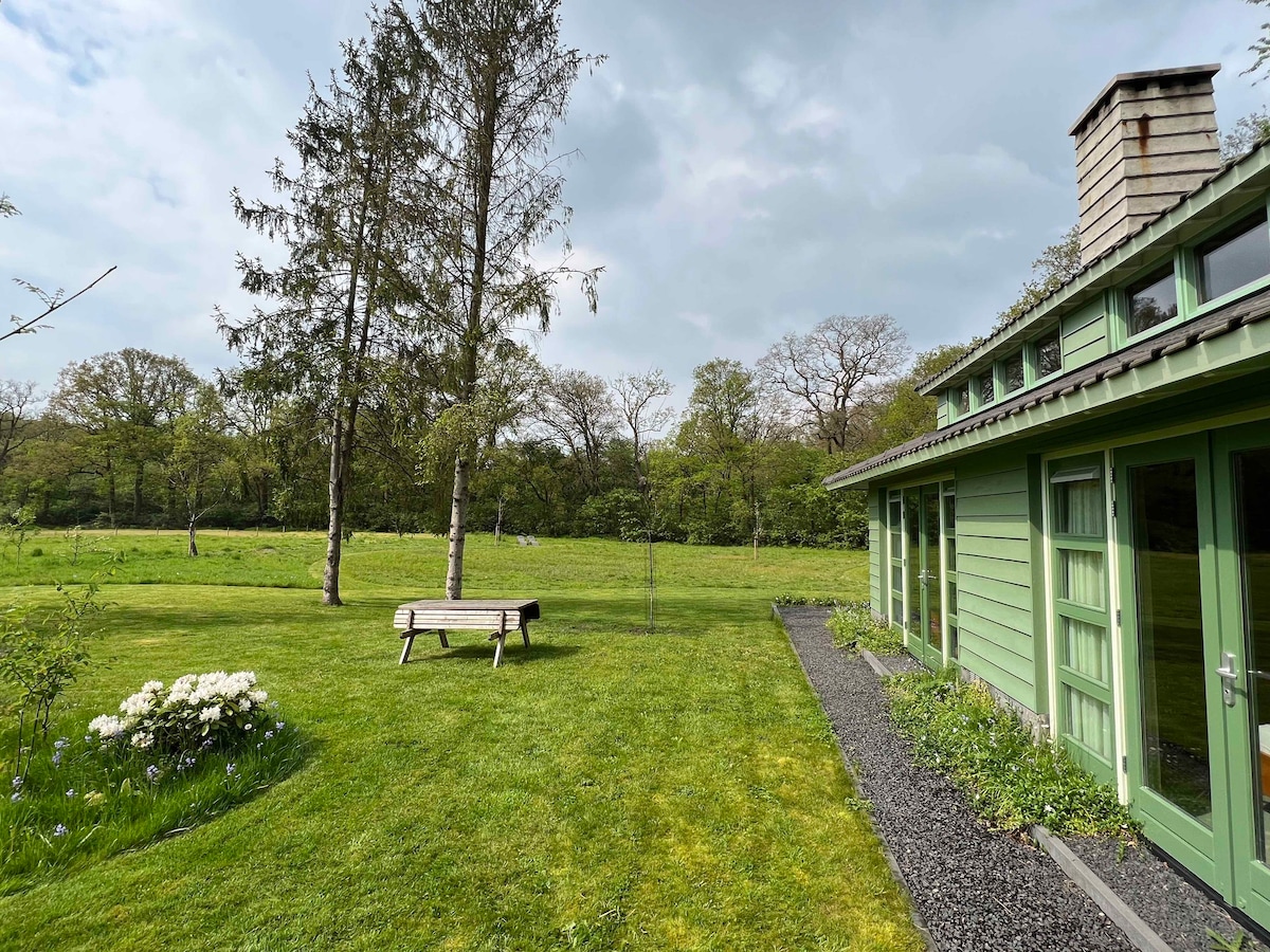 Groen huis in bos, Twente