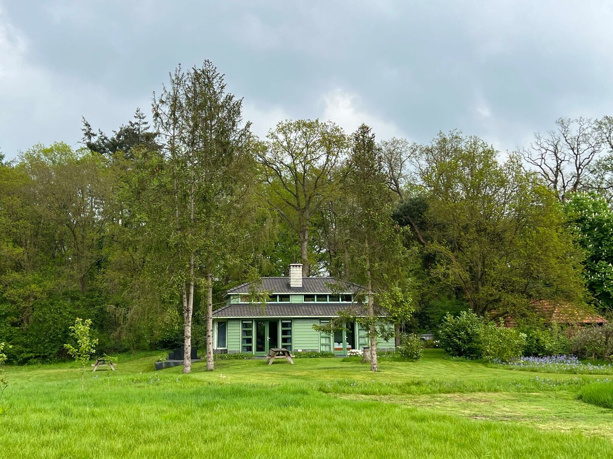 Groen huis in bos, Twente