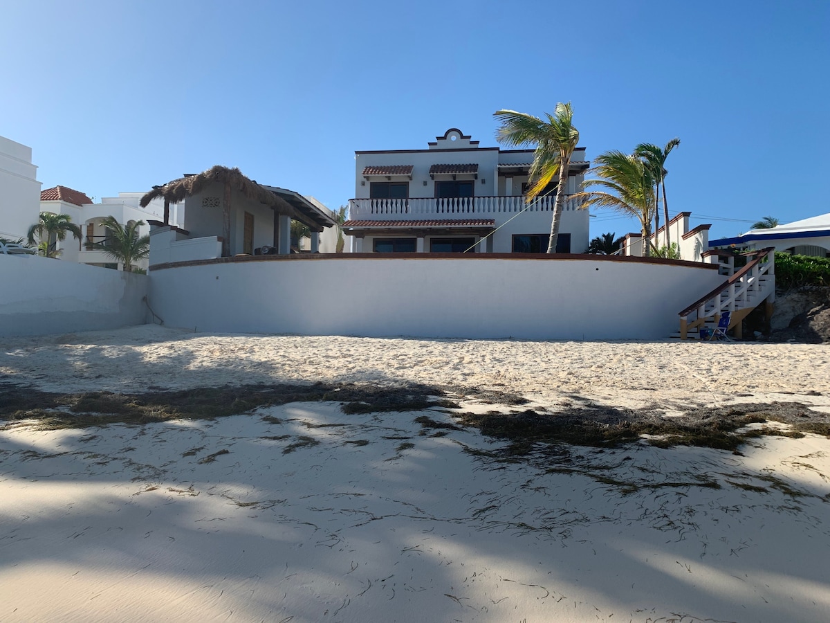 Luxury Beachfront Villa 🏝