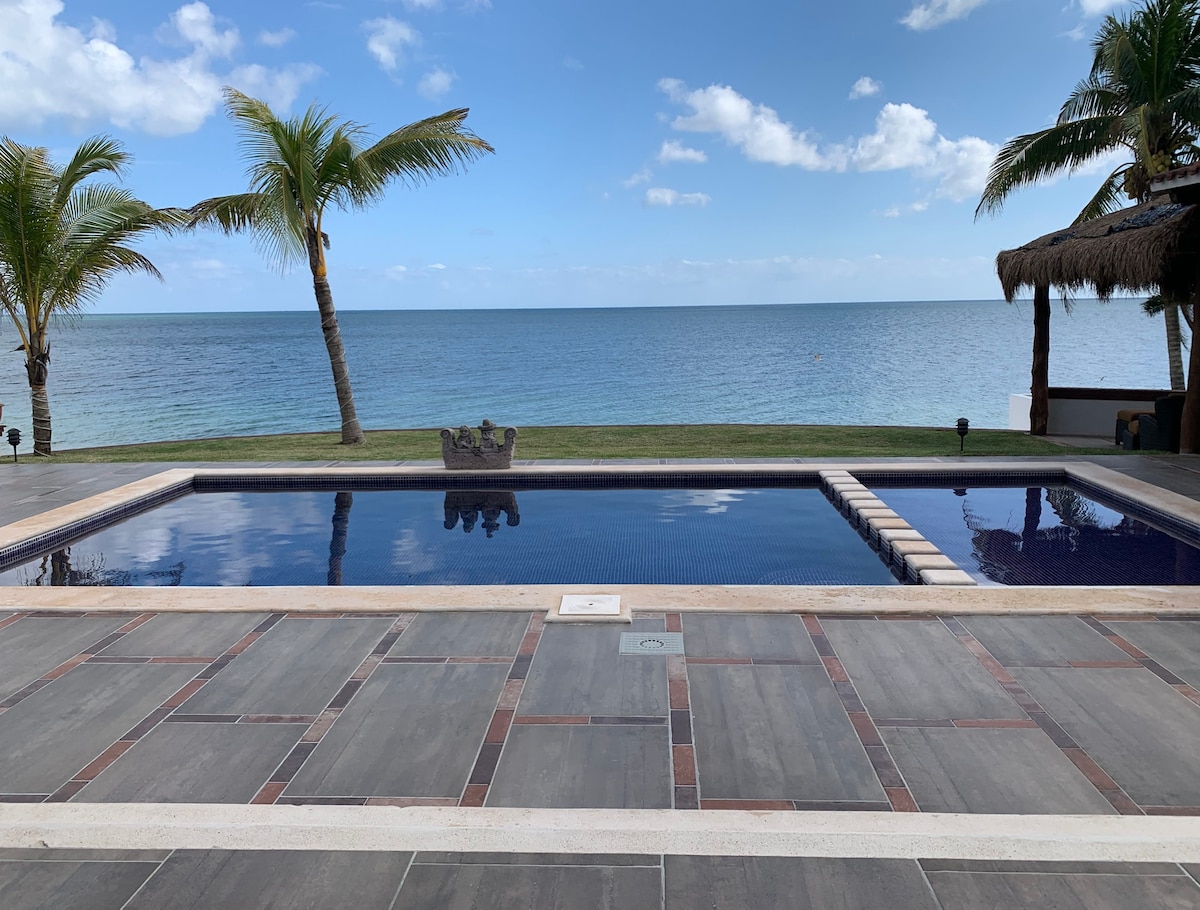 Luxury Beachfront Villa 🏝