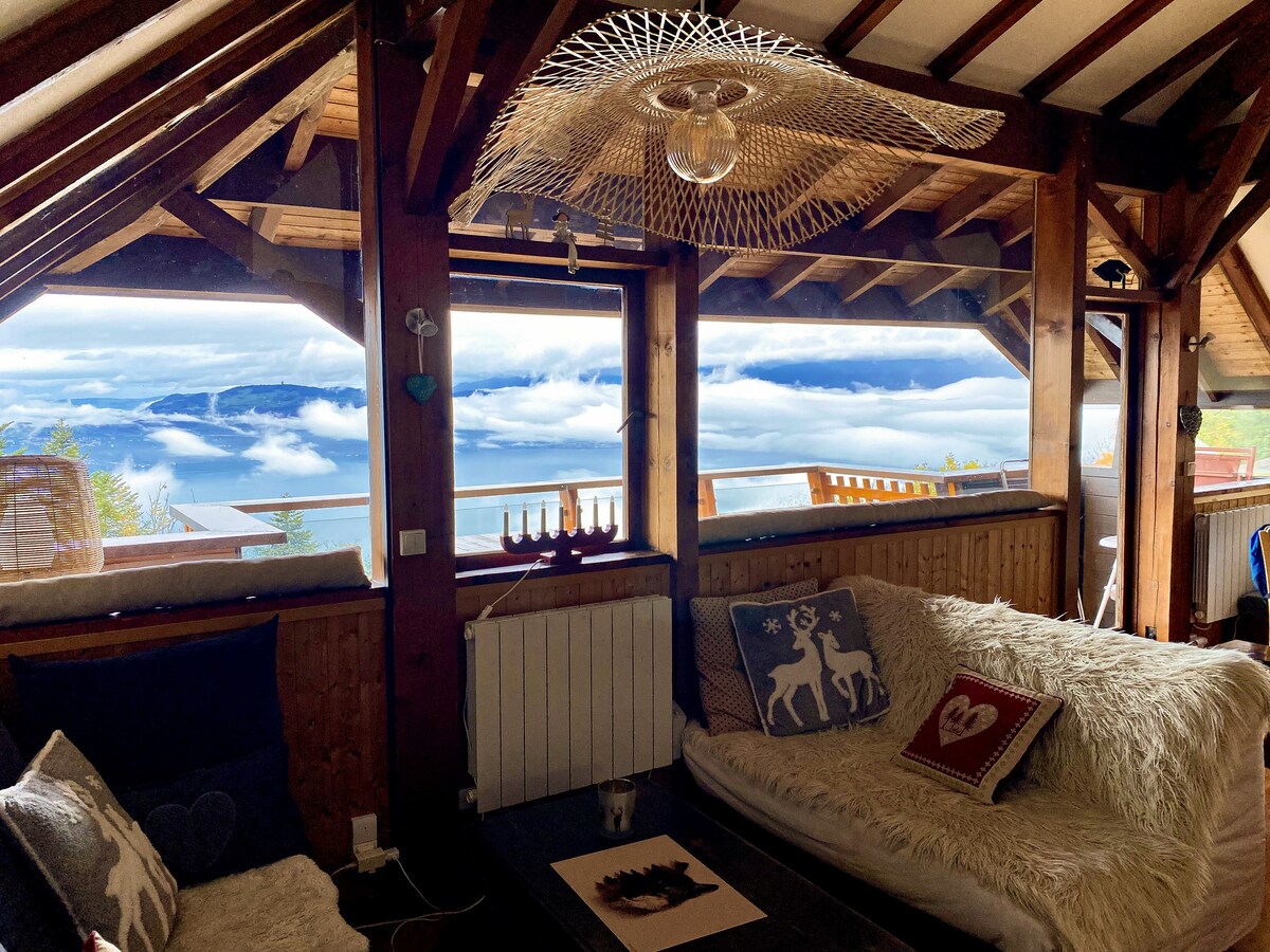 不寻常的度假木屋，在日内瓦湖的壮丽景色