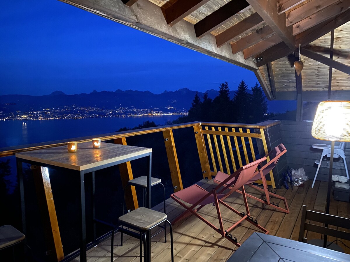 不寻常的度假木屋，在日内瓦湖的壮丽景色