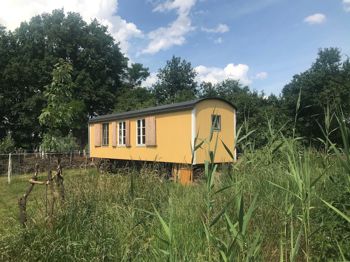 Tiny House-Freuden im Spreewald