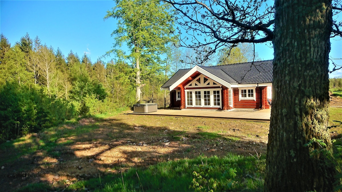 Cozy new built log house at lake with all extras