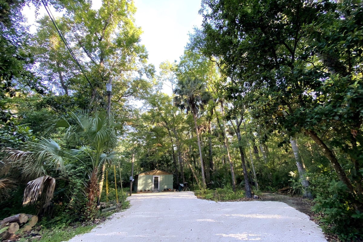 MANATEE happy私人房车网站~ Homosassa Spring