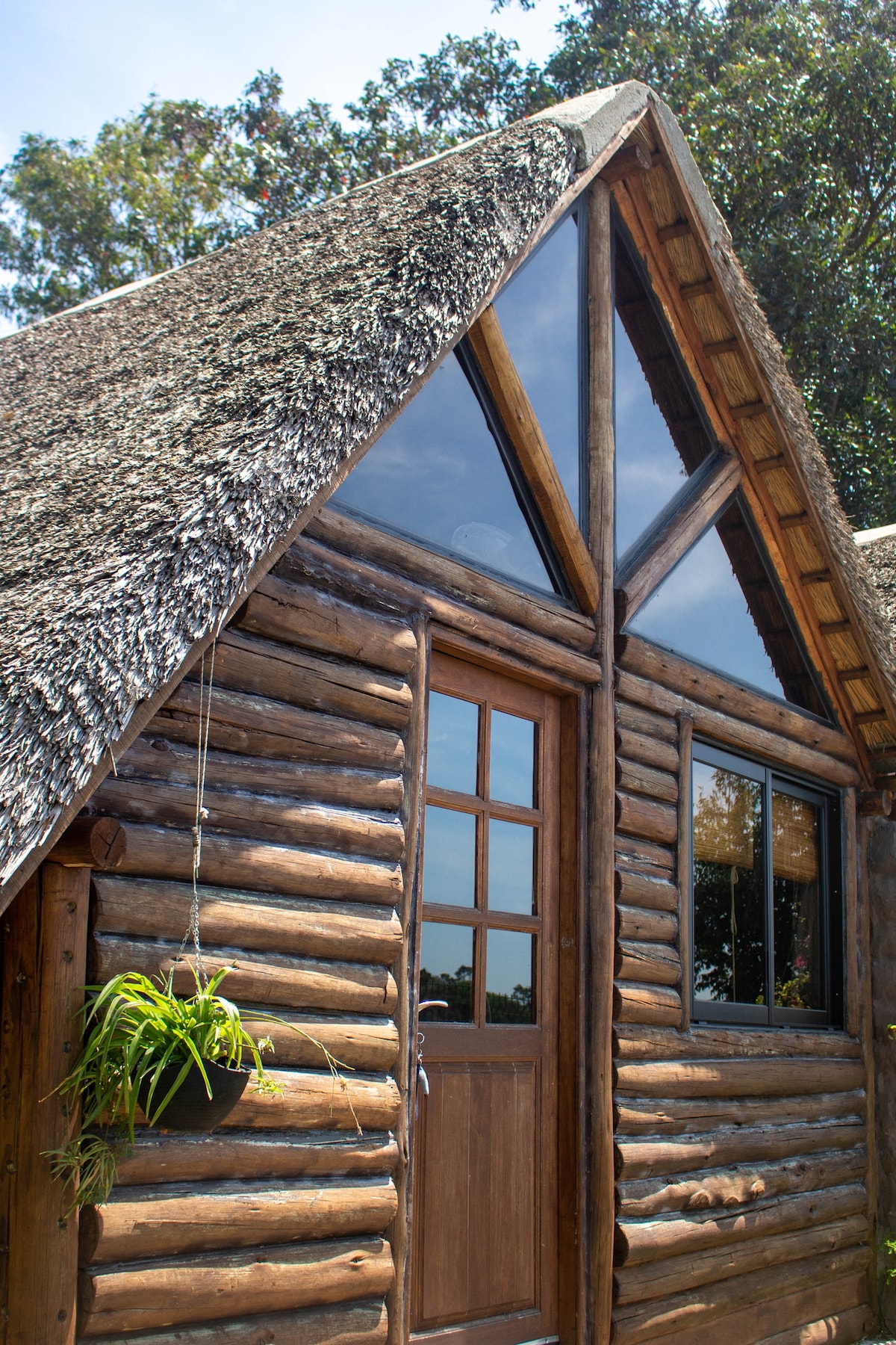 Hermosa cabaña de madera para 2. El pinar.