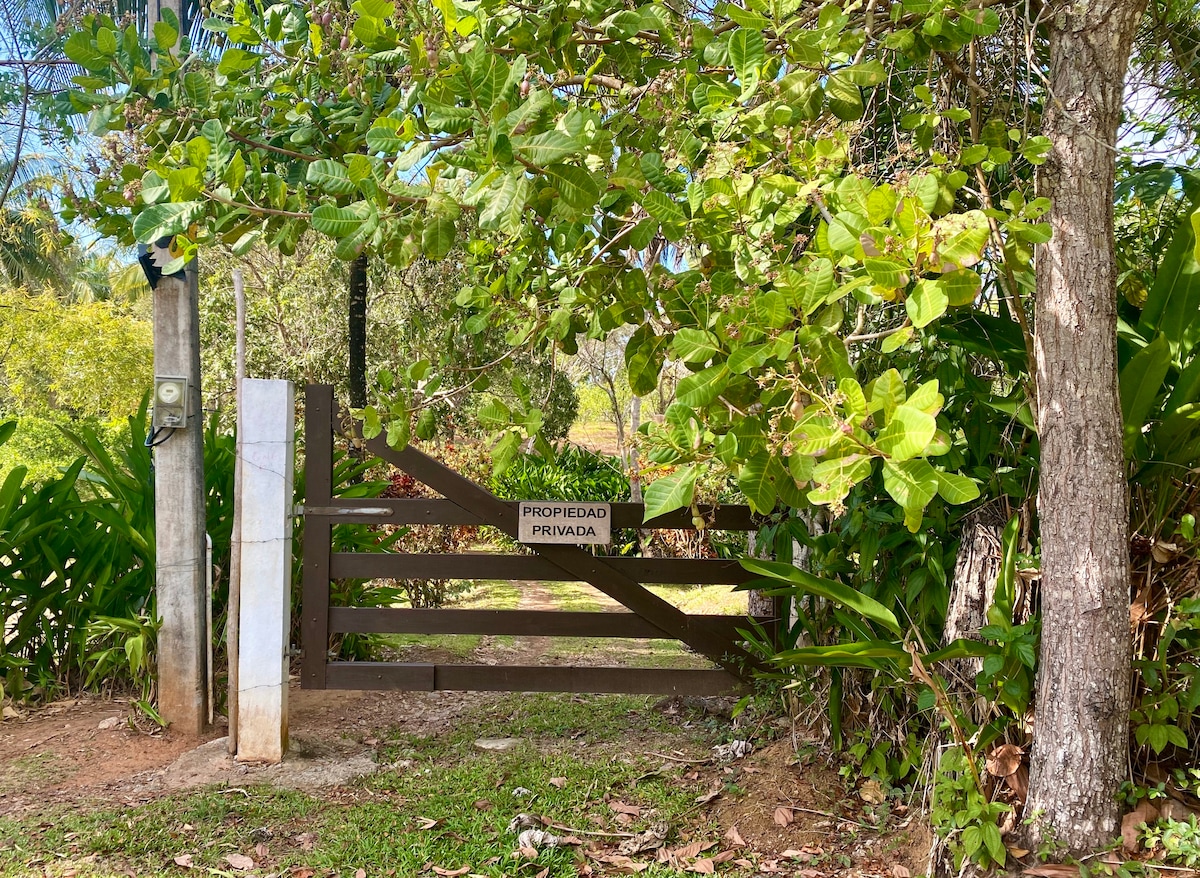 Casa Limon, a unique campo experience