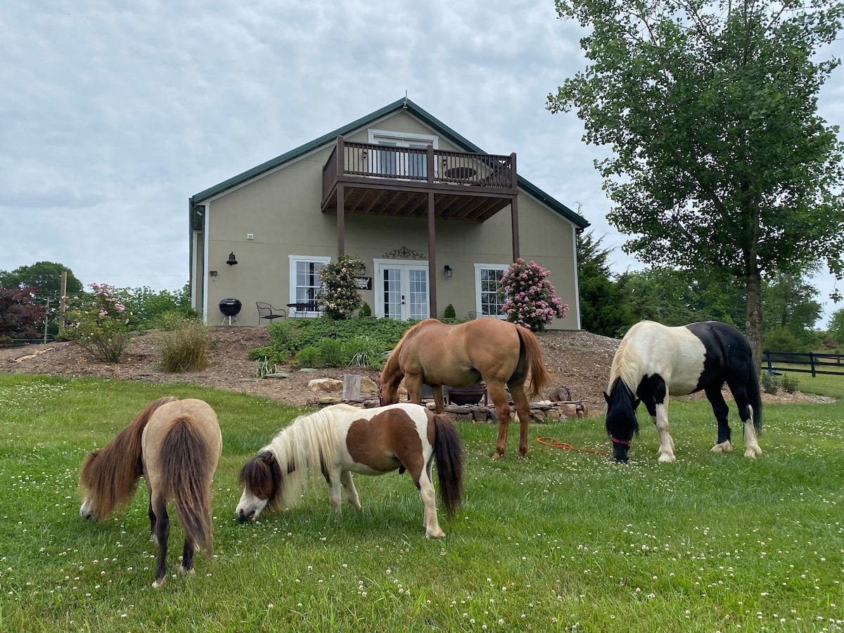 Afton, Mountain View Mini Farm