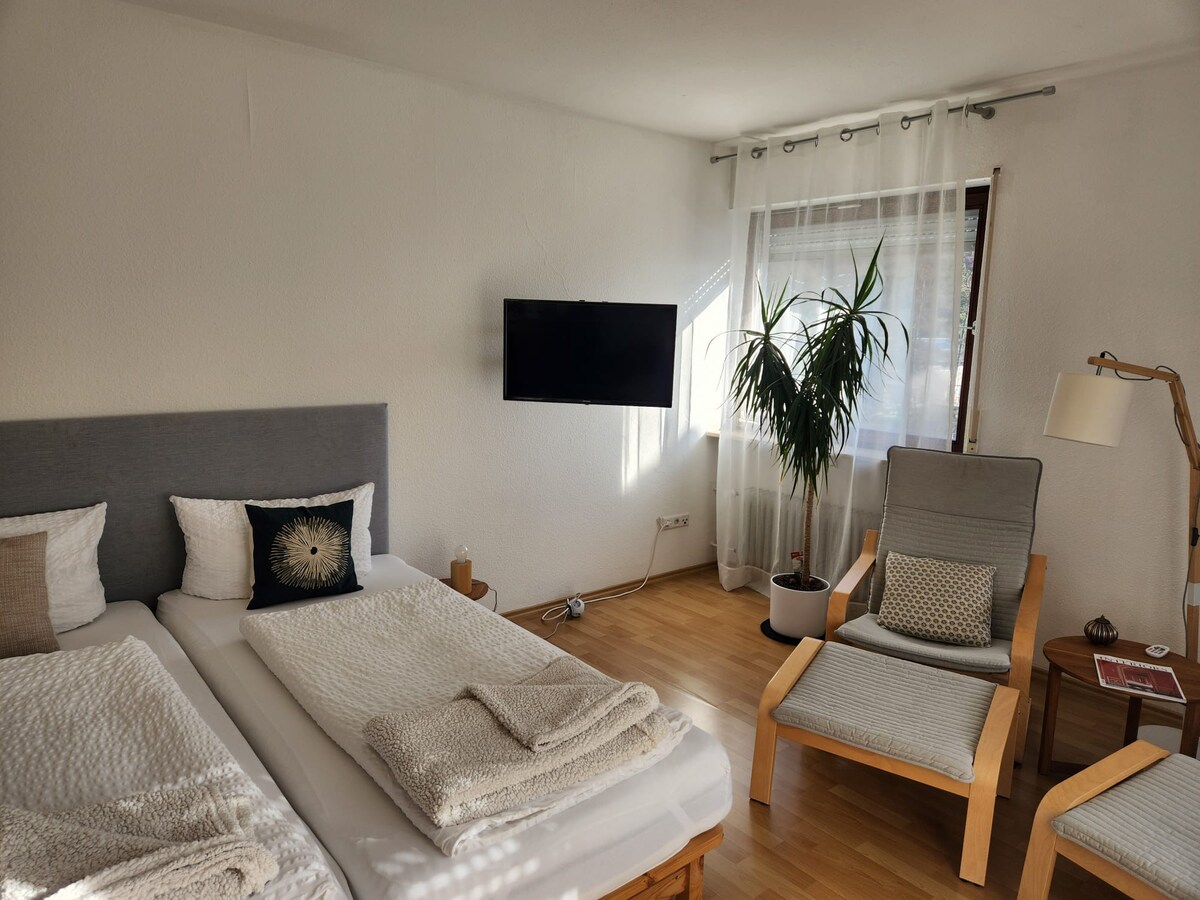 格伦扎赫（ Grenzach ）阳光明媚的单间公寓，是巴塞尔的理想位置
