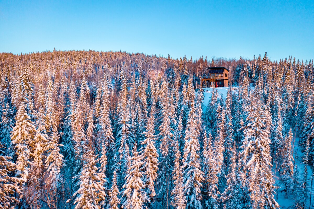 The HELIOS -MicroChalet at Maelström （ CITQ # 304336 ）