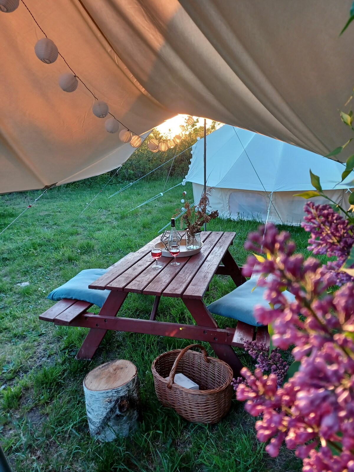 Glamping hos Bakkegaarden - Camp Fasanen