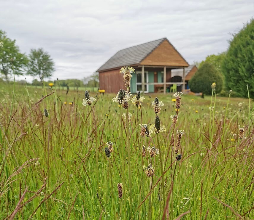 Chalet éco-responsable en Corrèze, 5 pers.