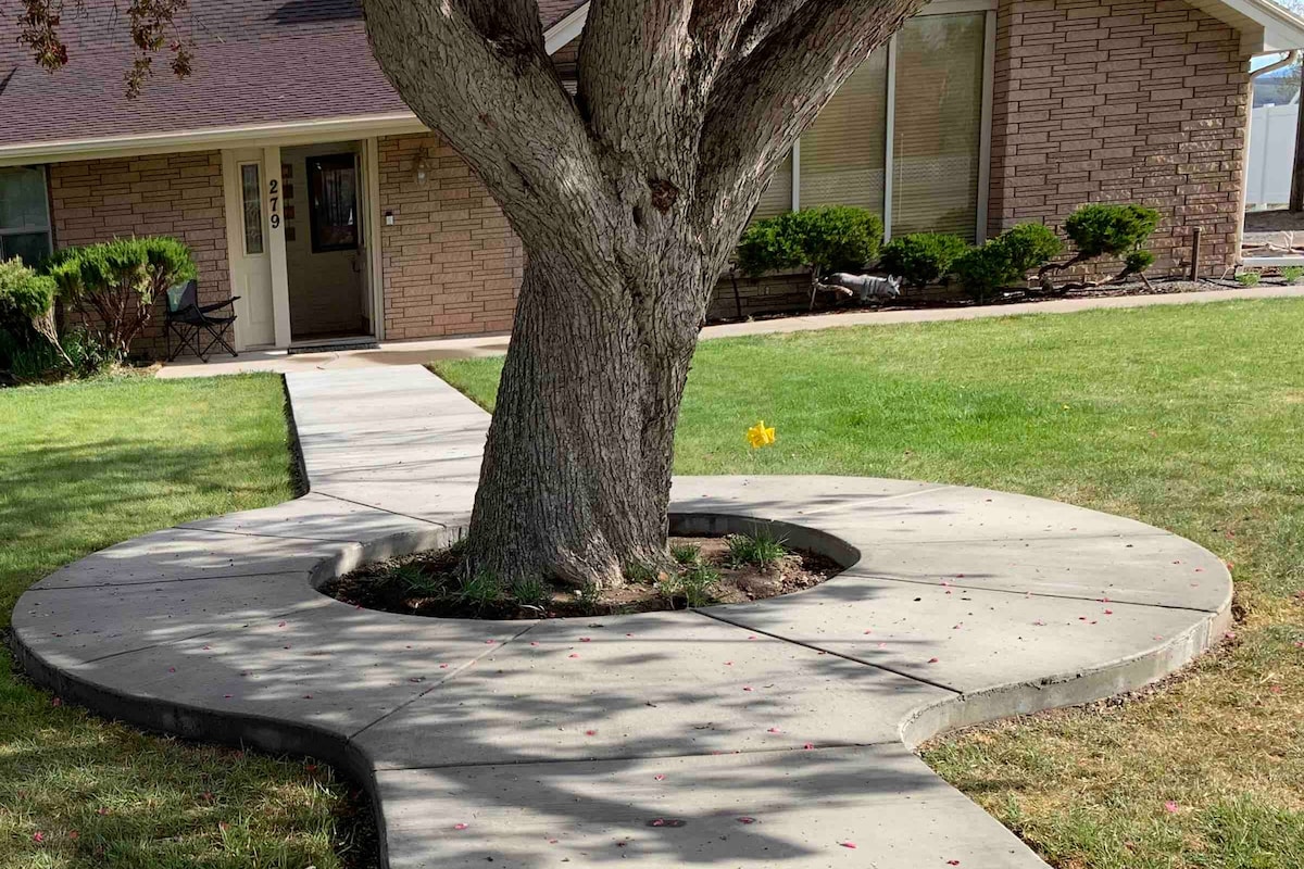 Circle Tree Hideout