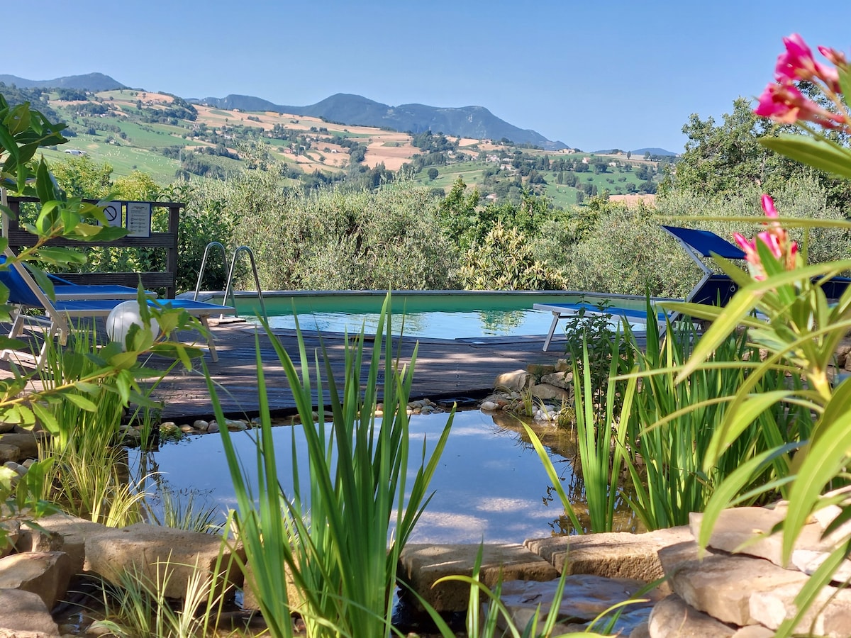 Apartment Acacia in Italian countryside