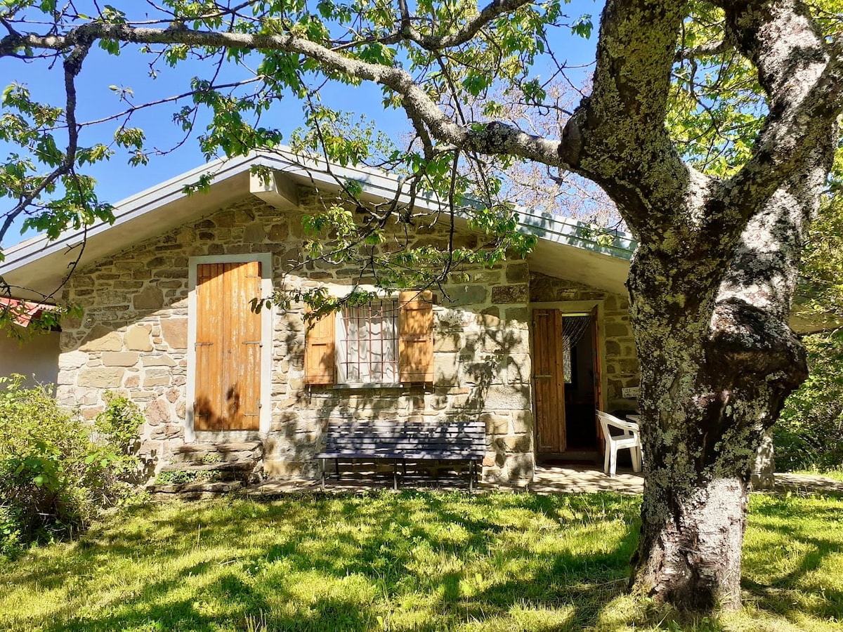 Borgo Castelluccio Country House - the owl