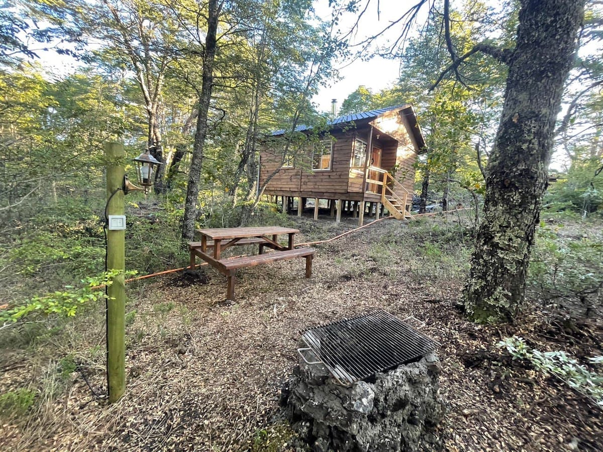 Cabañita en bosque con río a 1KM Parque Conguillío