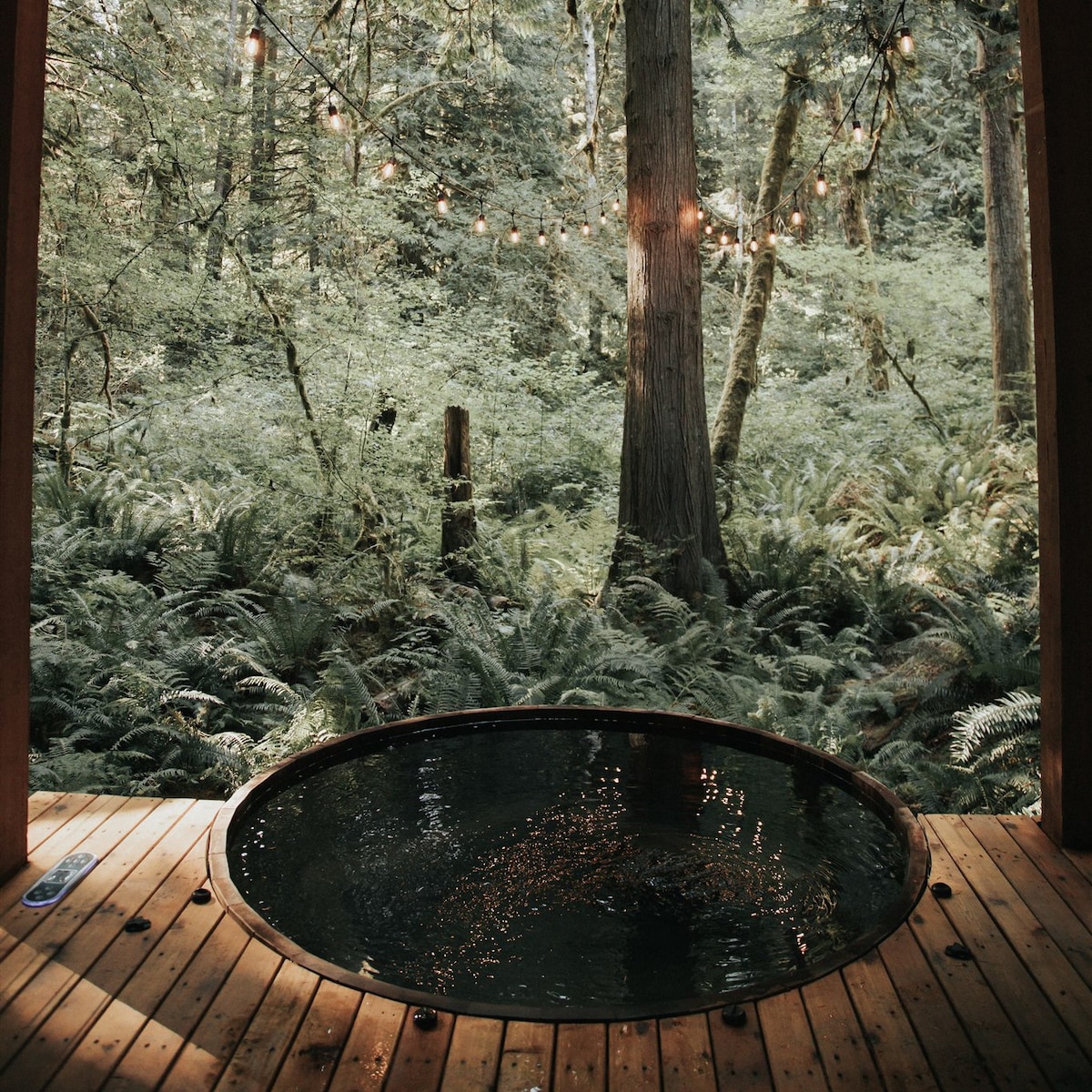 贝克山小屋（ Mt Baker Cabin ） ，带热水浴缸，可欣赏全景森林景观