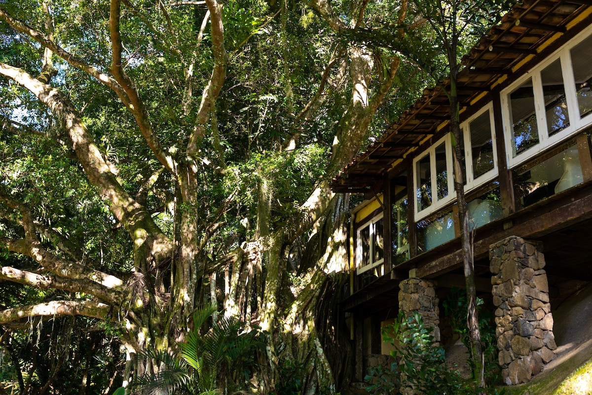 Casa do Rei. Ilhabela