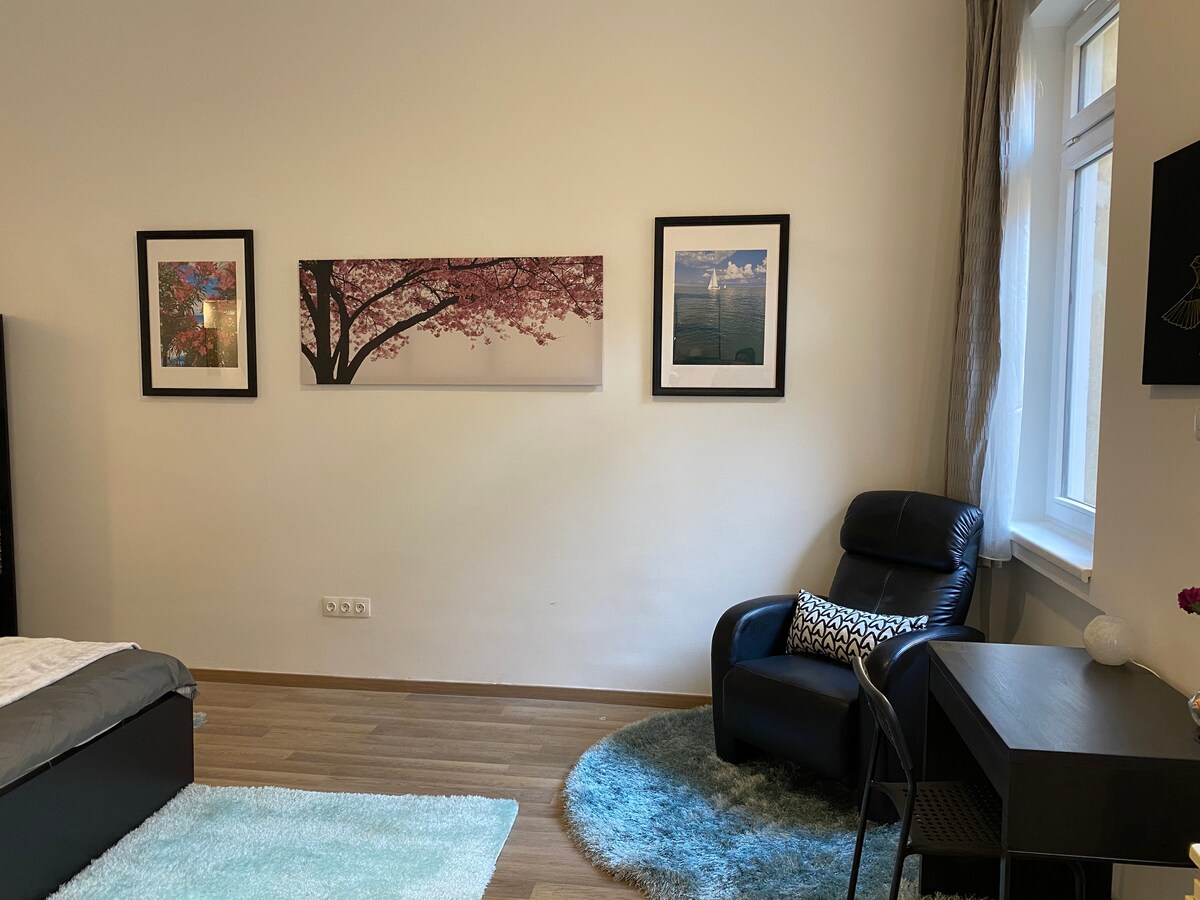 Baross Central Apartment - city centre location