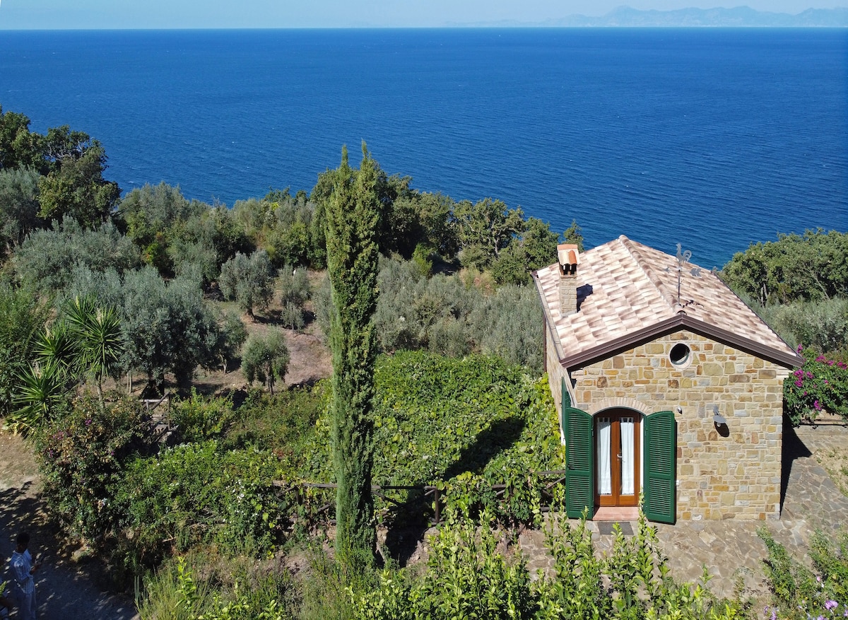 Cilento的Casale全景：大海和自然风光