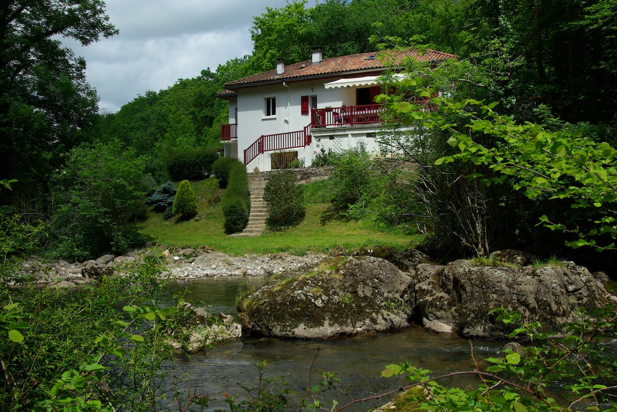 巴斯克地区迷人的房子自然和河流