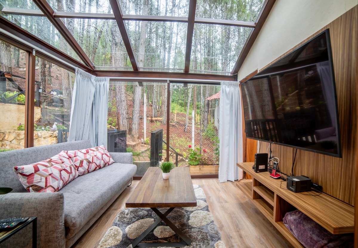 Villa Encino, house in the forest for 10 people