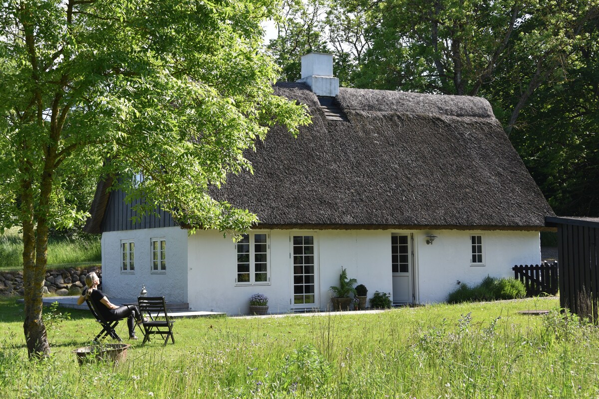 Mols Bjerge国家公园内的独特小屋。