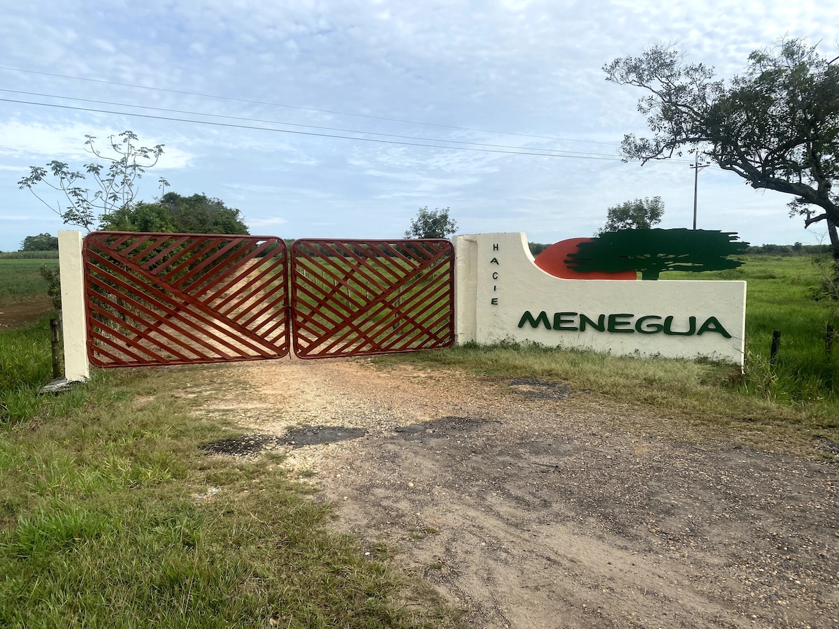 HACIENDA MENEGUA