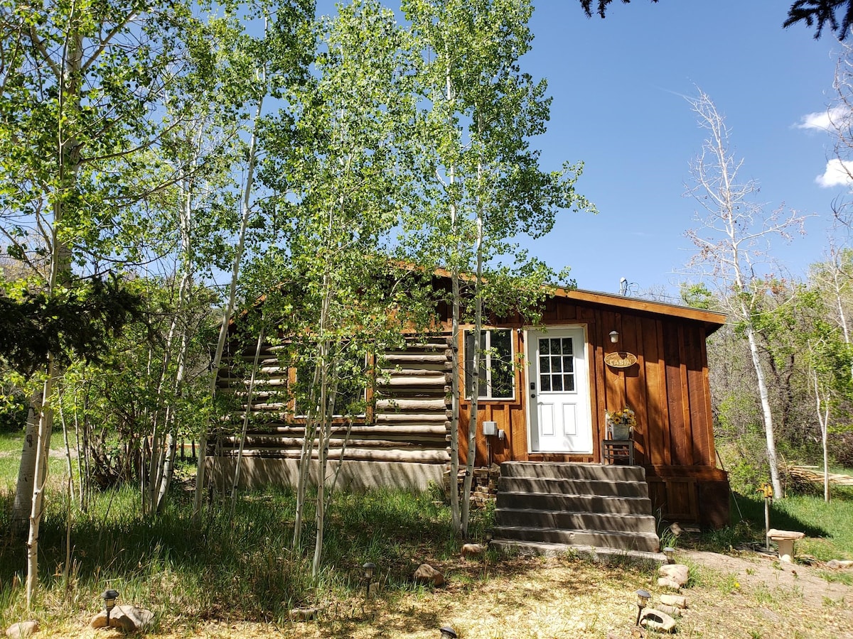 Needle Rock Cabin on 80 acres!