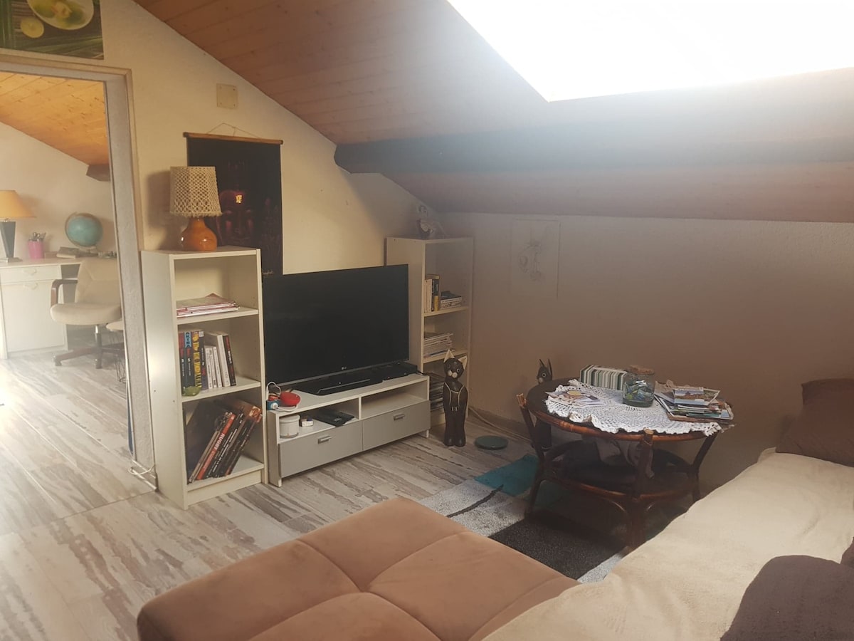 Petit appartement  cocon en sous pente