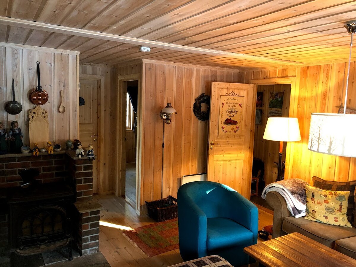 Lifjell滑雪中心旁可爱的家庭小屋。