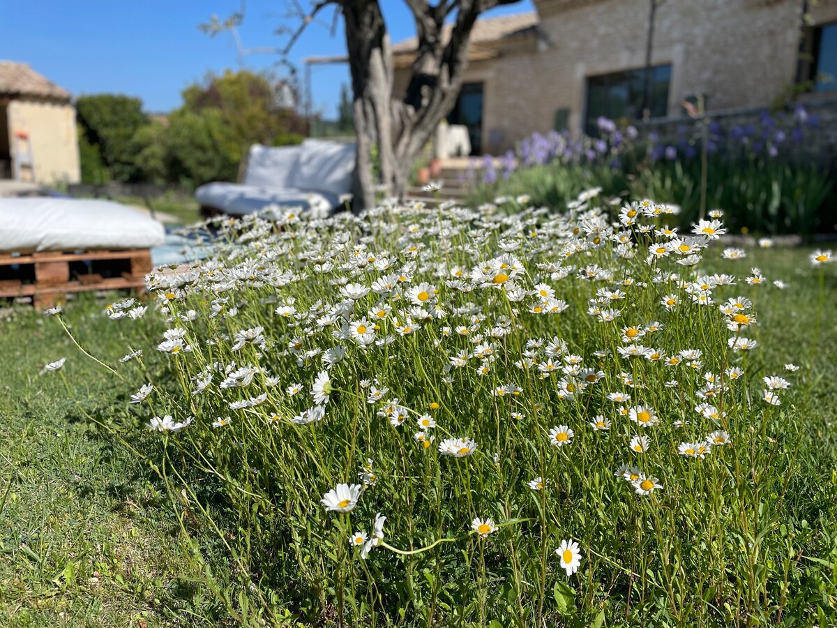 Mas Bohème au cœur de la Drôme provençale