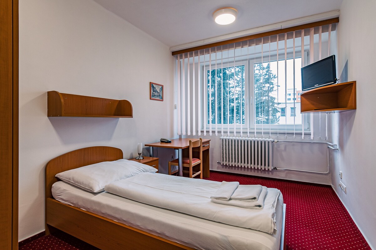 Bezbariérový jednolůžkový pokoj Hotel Garni