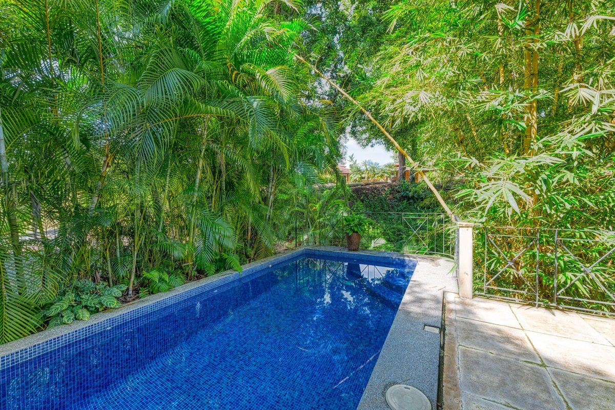 丛林景观-靠近海滩的私人泳池