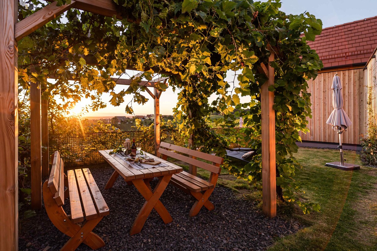 Ferienhaus mit Sauna im Weingarten