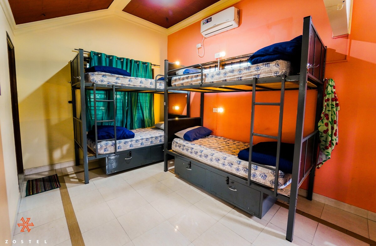 Zostel Mysore | Bed in Deluxe 4 bed Mixed Dorm