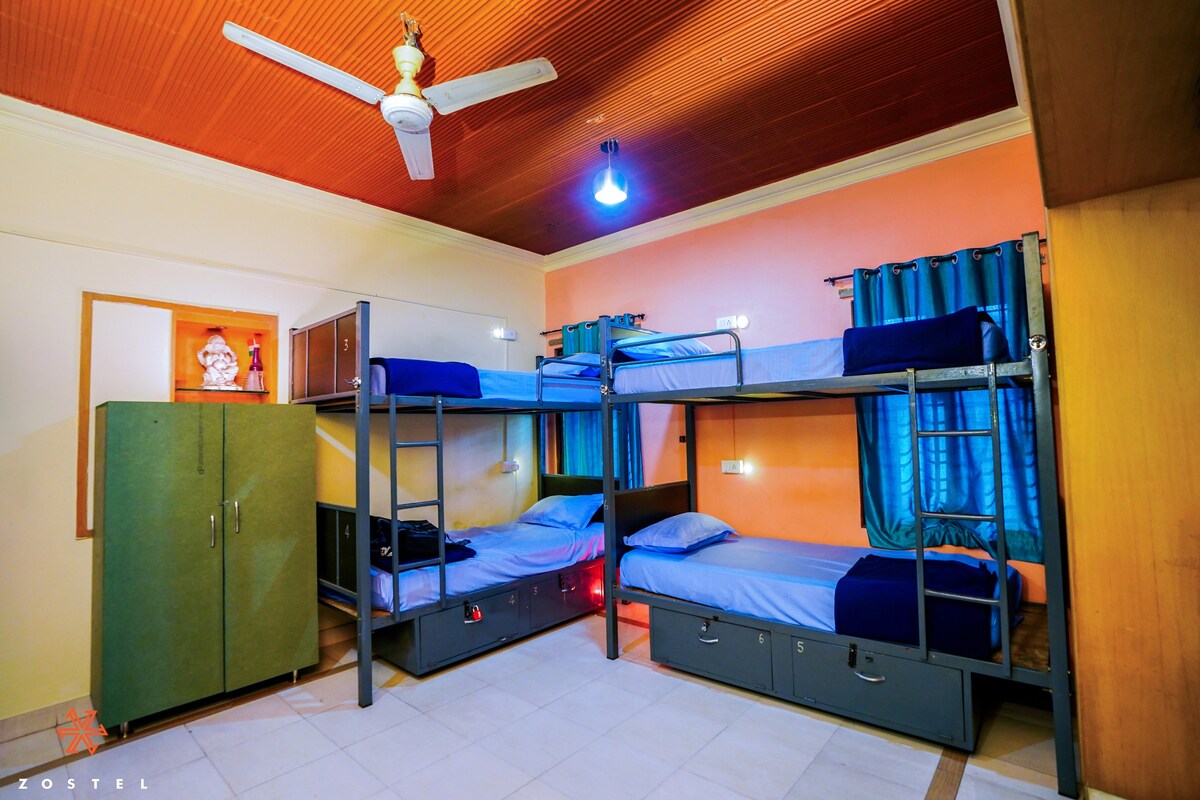Zostel Mysore | Bed in 8 bed Mixed Dorm
