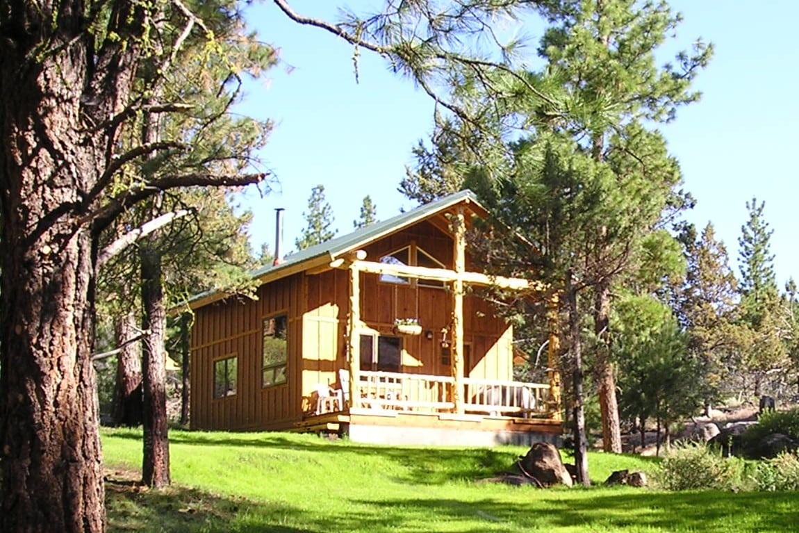 Elk Ridge Cabin in the pines