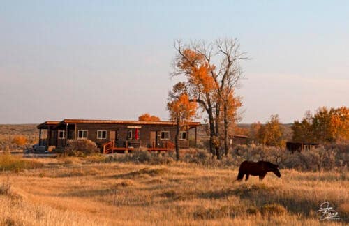 C2: Modern cabin on working cattle ranch/hunt club