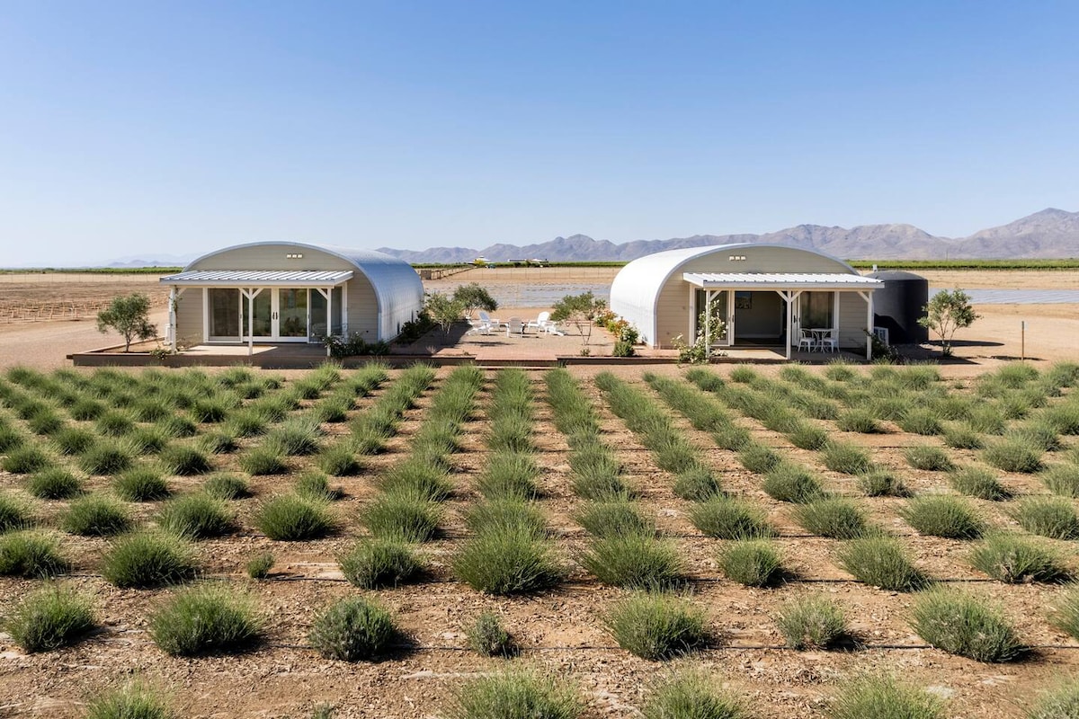 Entire Quonset Hut at Rhumb Line Vineyard