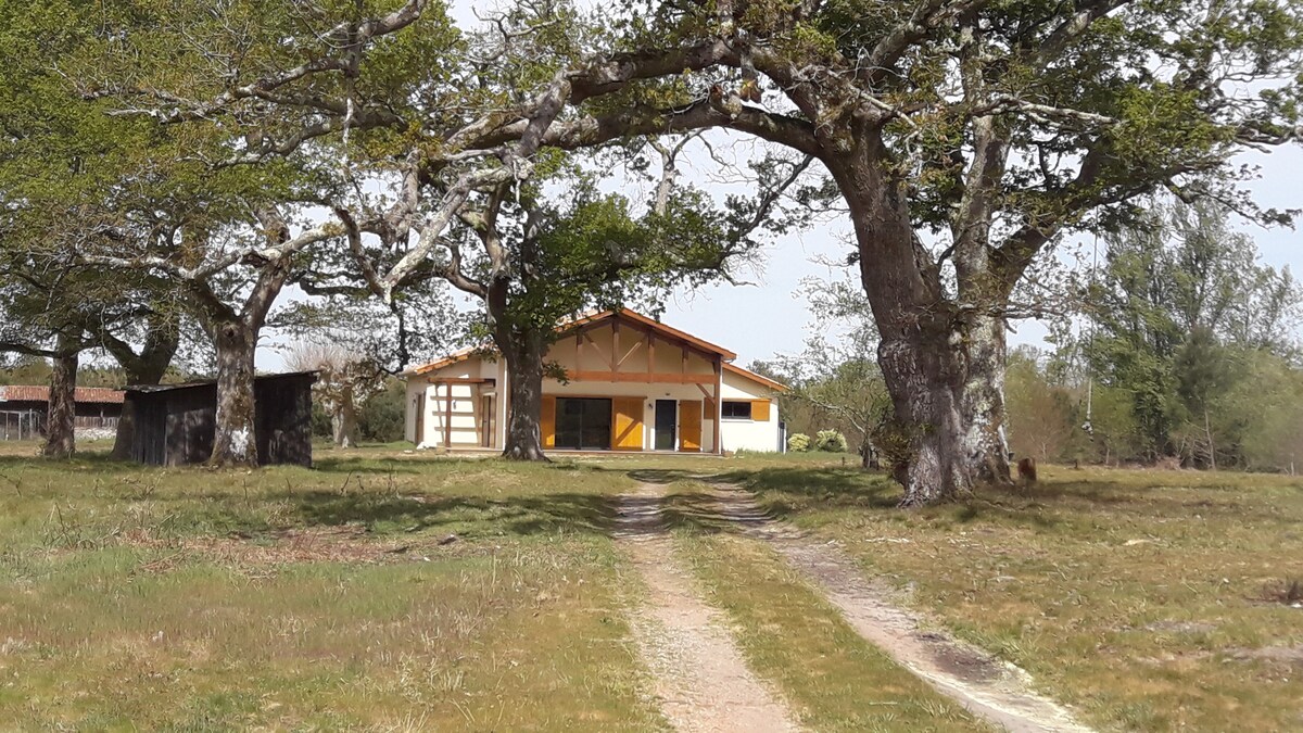 Maison au calme entre ocean, lac et foret