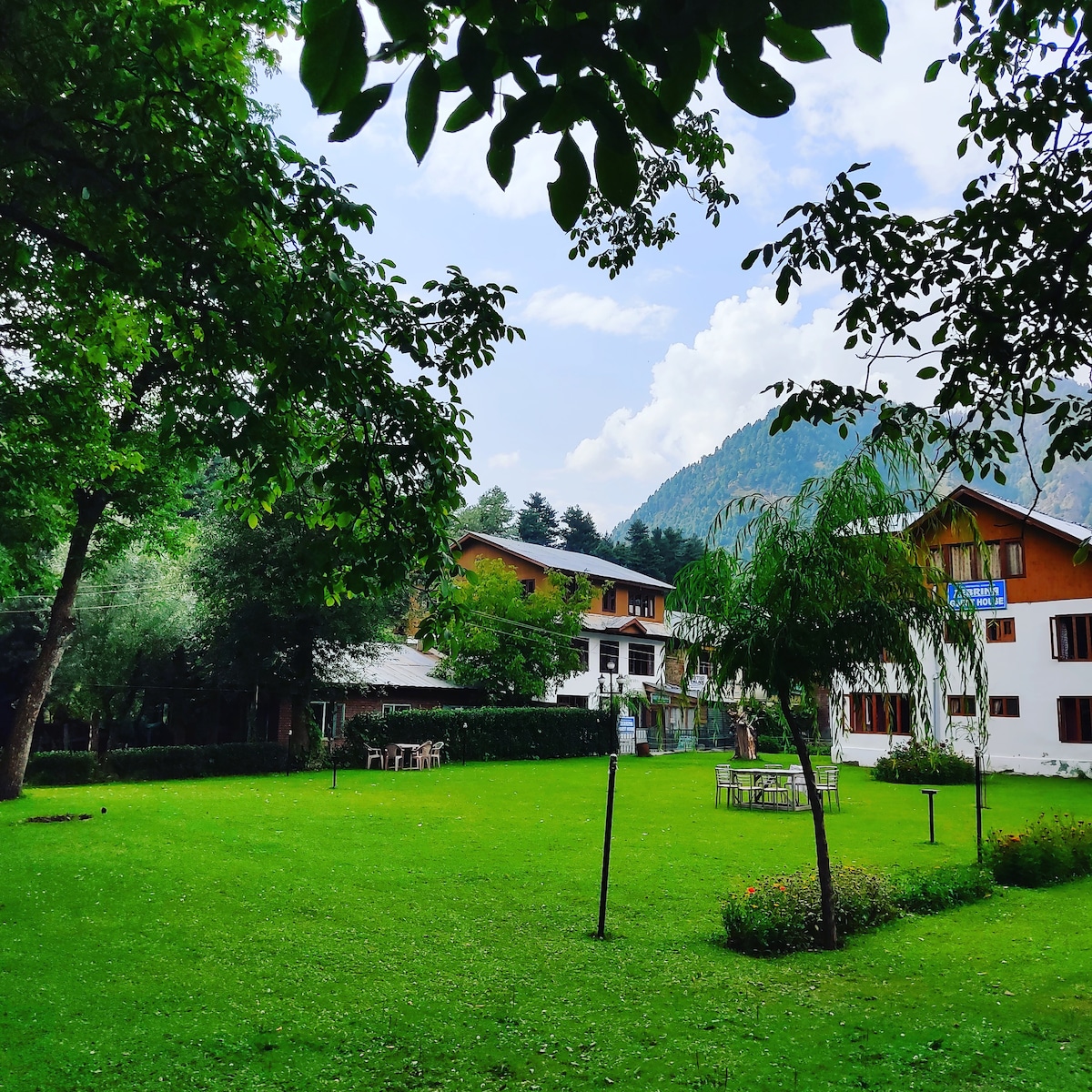 Zebrina guest house pahalgam