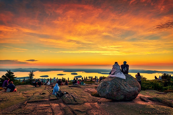 现代Dwntwn Bar Harbor-Acadia Nat 'l公园（ B单元）