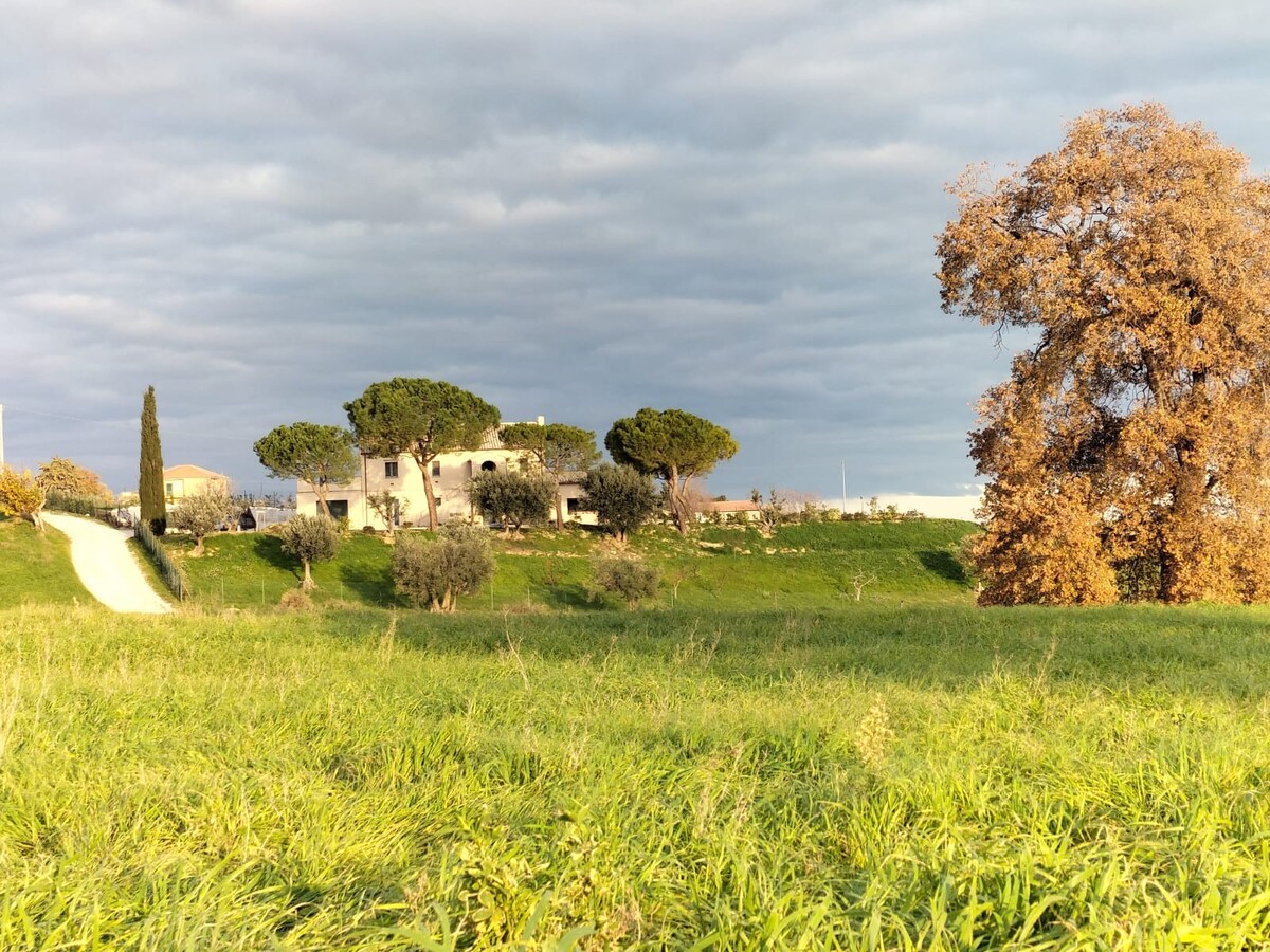 La casa sull'Adriatico (109006-LOC-00080)