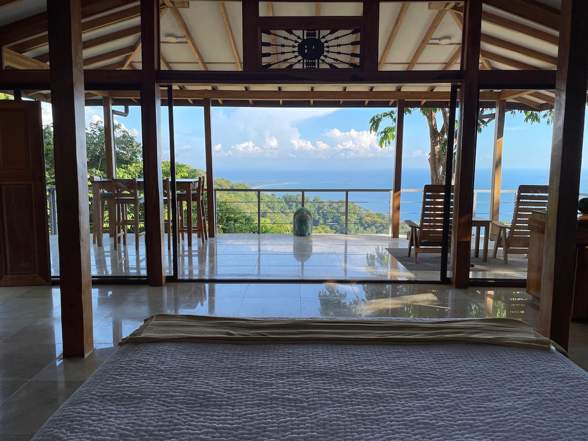 Endless Ocean, Jungle and Whale Tail Views