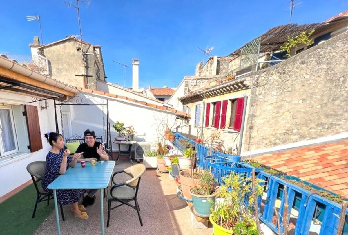 Loft Apartment with Roof Garden  Arles City Centre