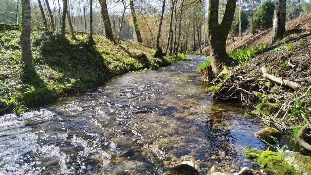 Quinta do Vale Valença: as suas Férias de Sonho