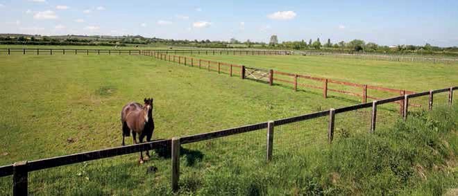 Equestrian: stables, Arena & Accomodation